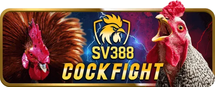 Tăng vốn cược 68wim code